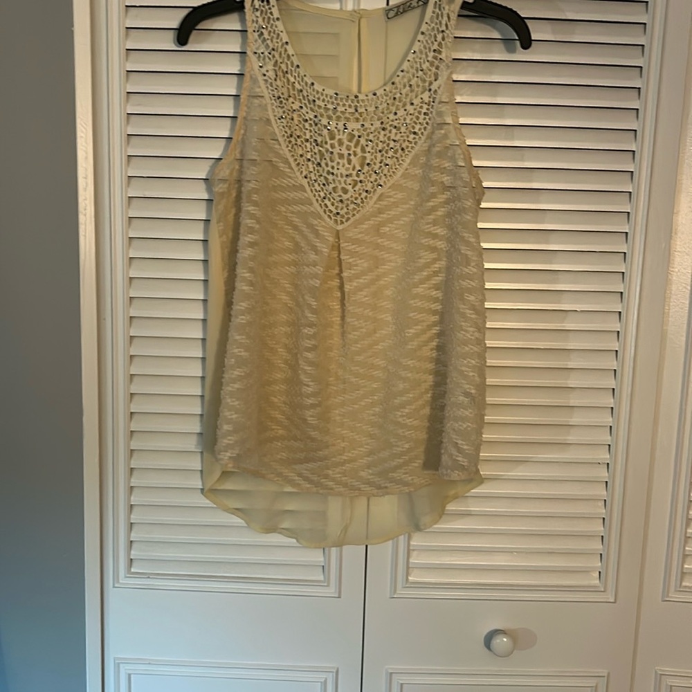 6 for 💲3️⃣0️⃣‼️ Chloe K Tan Graphic Sleeveless Tank Top